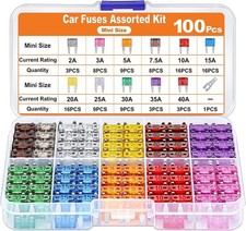 100 Stück KFZ Sicherungen im